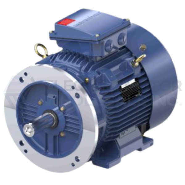 Image for 60HP MARATHON 1785RPM 225M IP55 3PH B3/B5 TERRAMAX IEC MOTOR R855